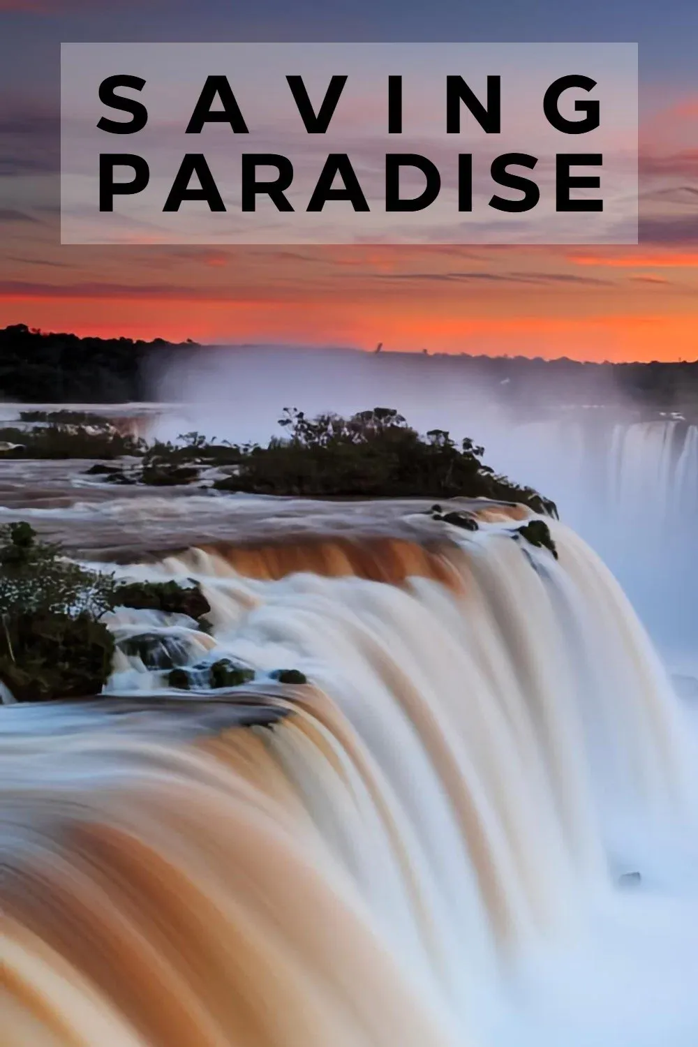 Poster of Saving paradise