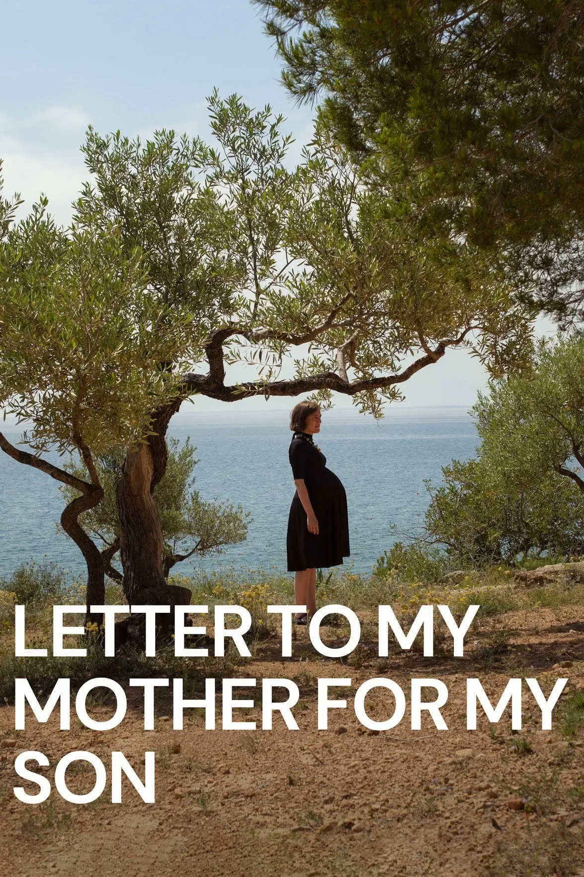 Poster of the movie Letter to My Mother for My Son