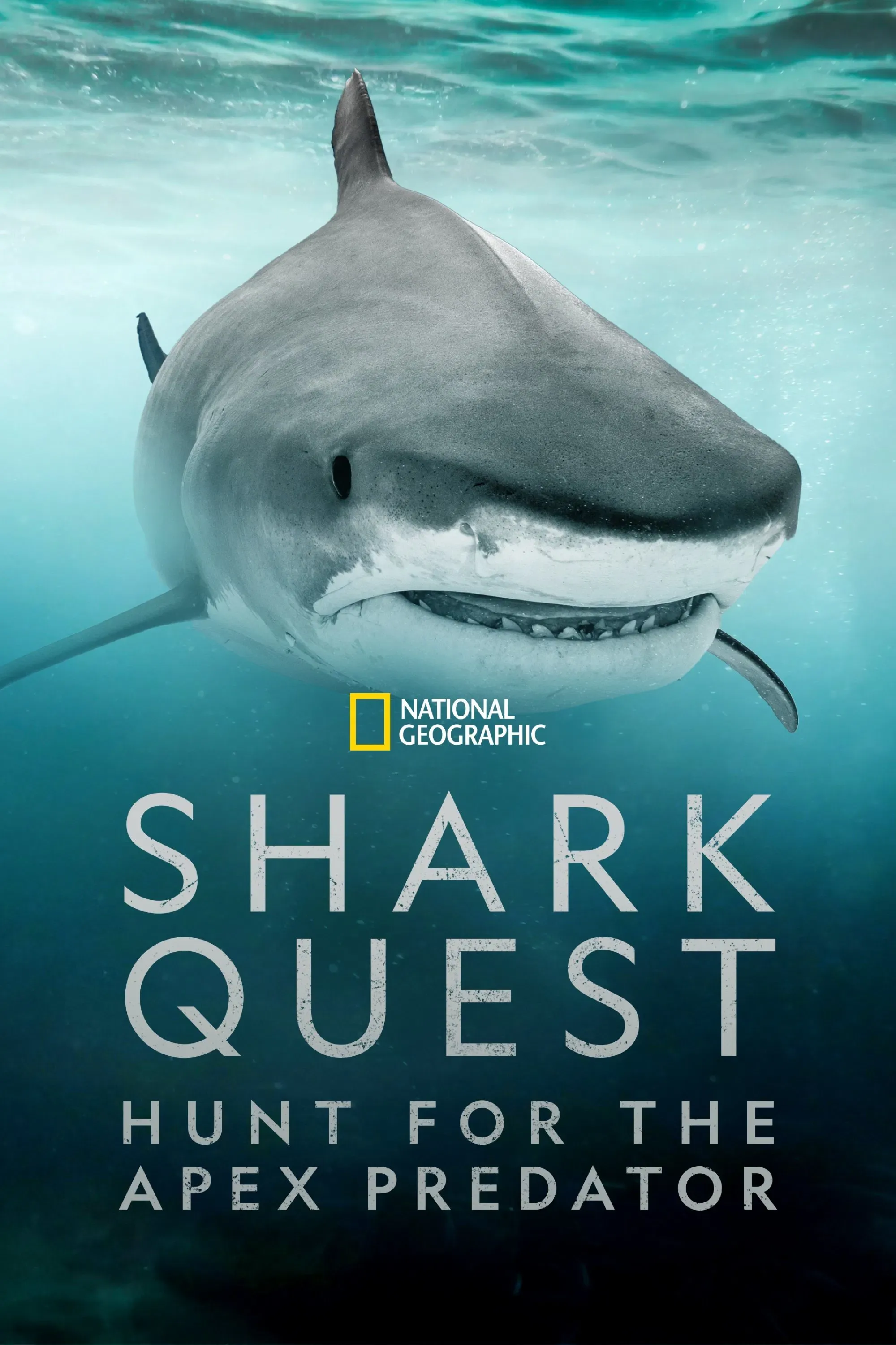 Poster of Shark Quest: Hunt For The Apex Predator