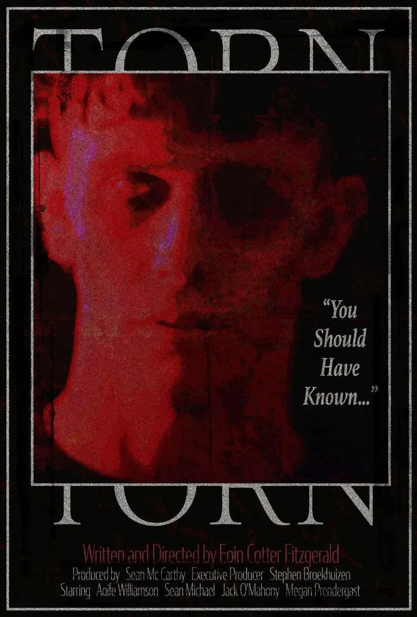 Poster of the movie Torn