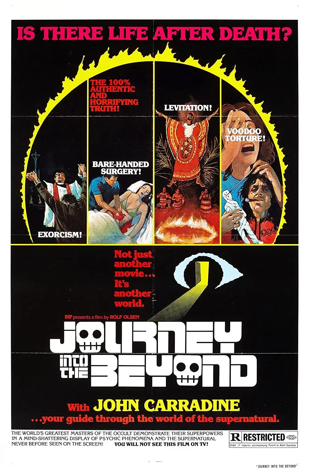 Poster of the movie Journey Into the Beyond