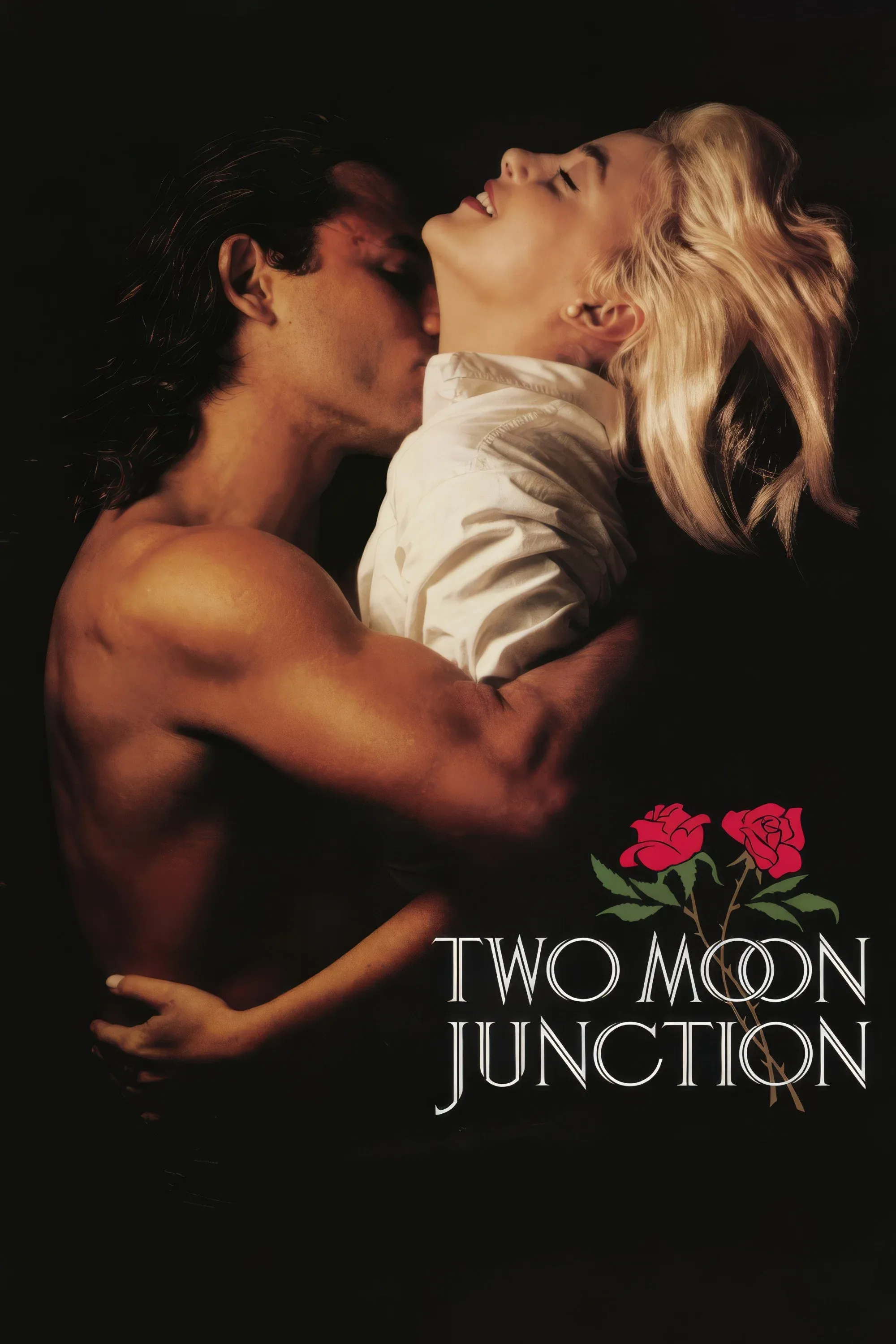 Poster of the movie Two Moon Junction