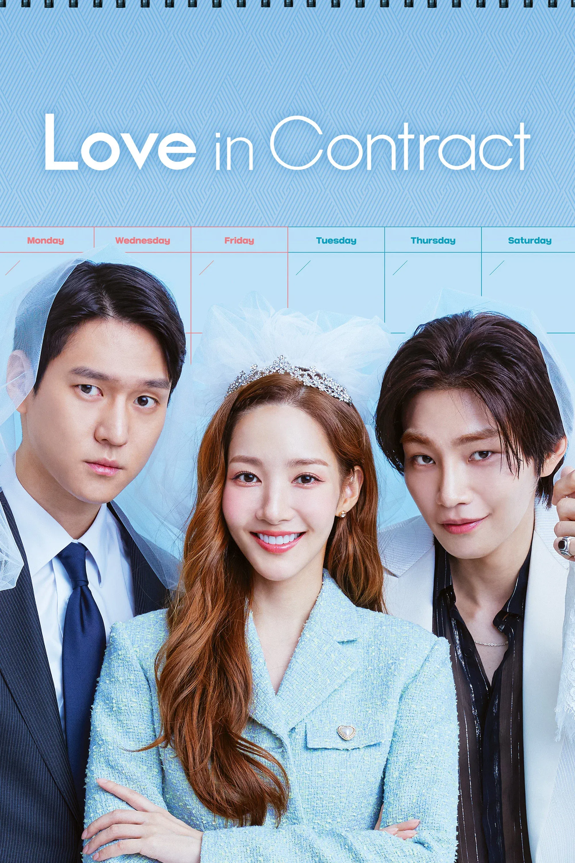 Poster of Love in Contract