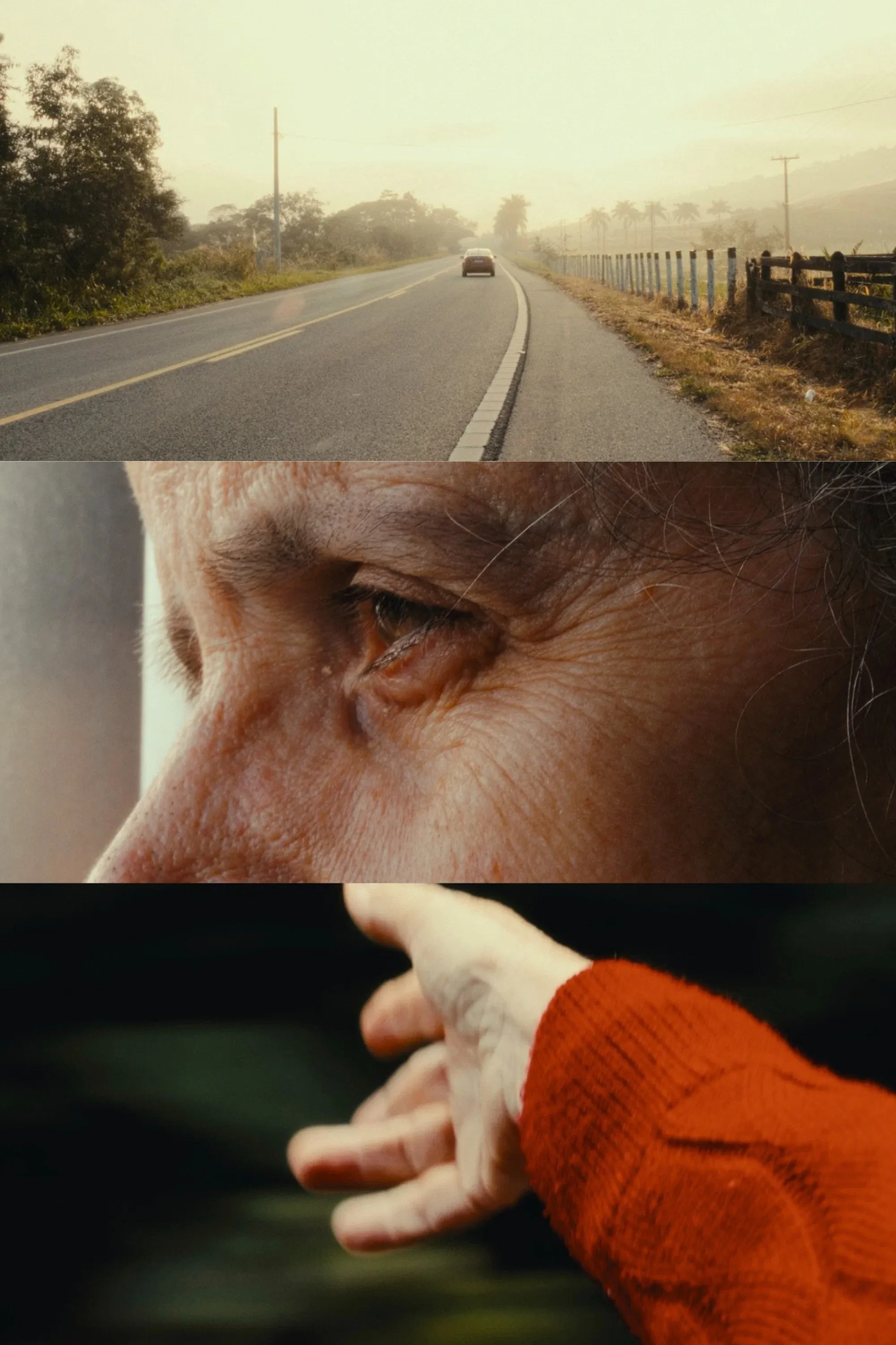 Poster for Madalena