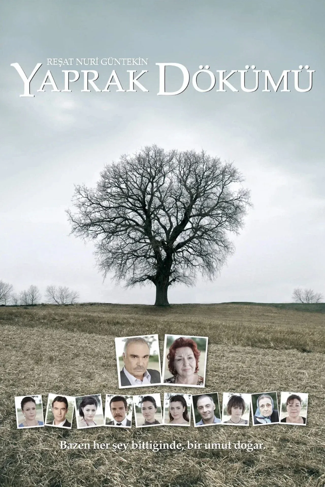 Poster of Falling Leaves