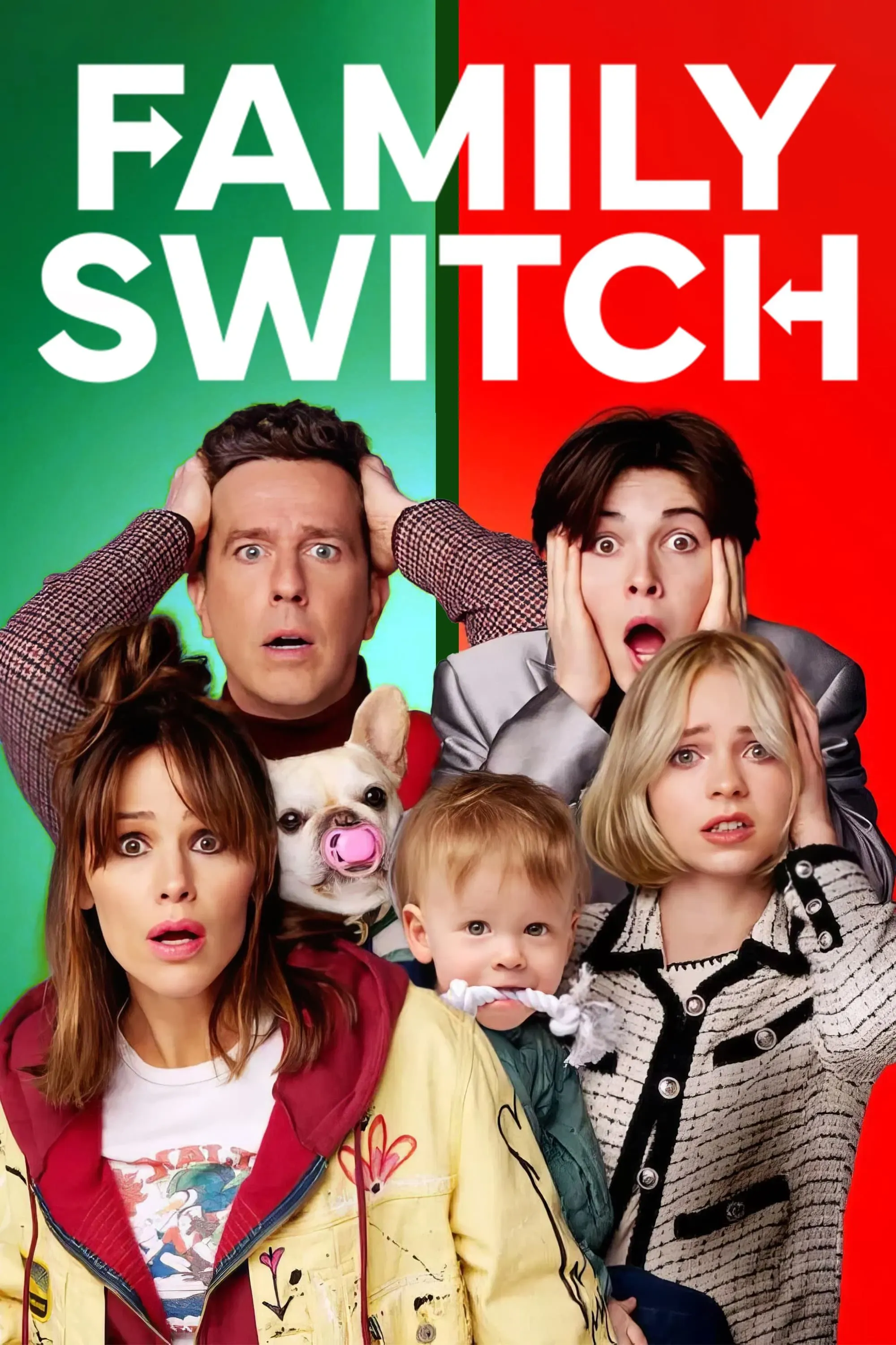 Poster of the movie Family Switch