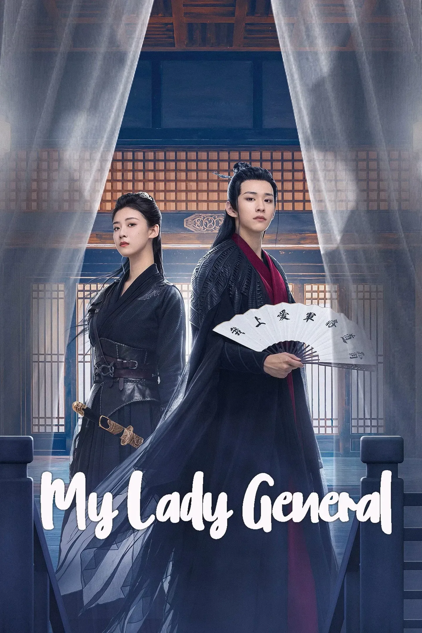 Poster of My Lady General