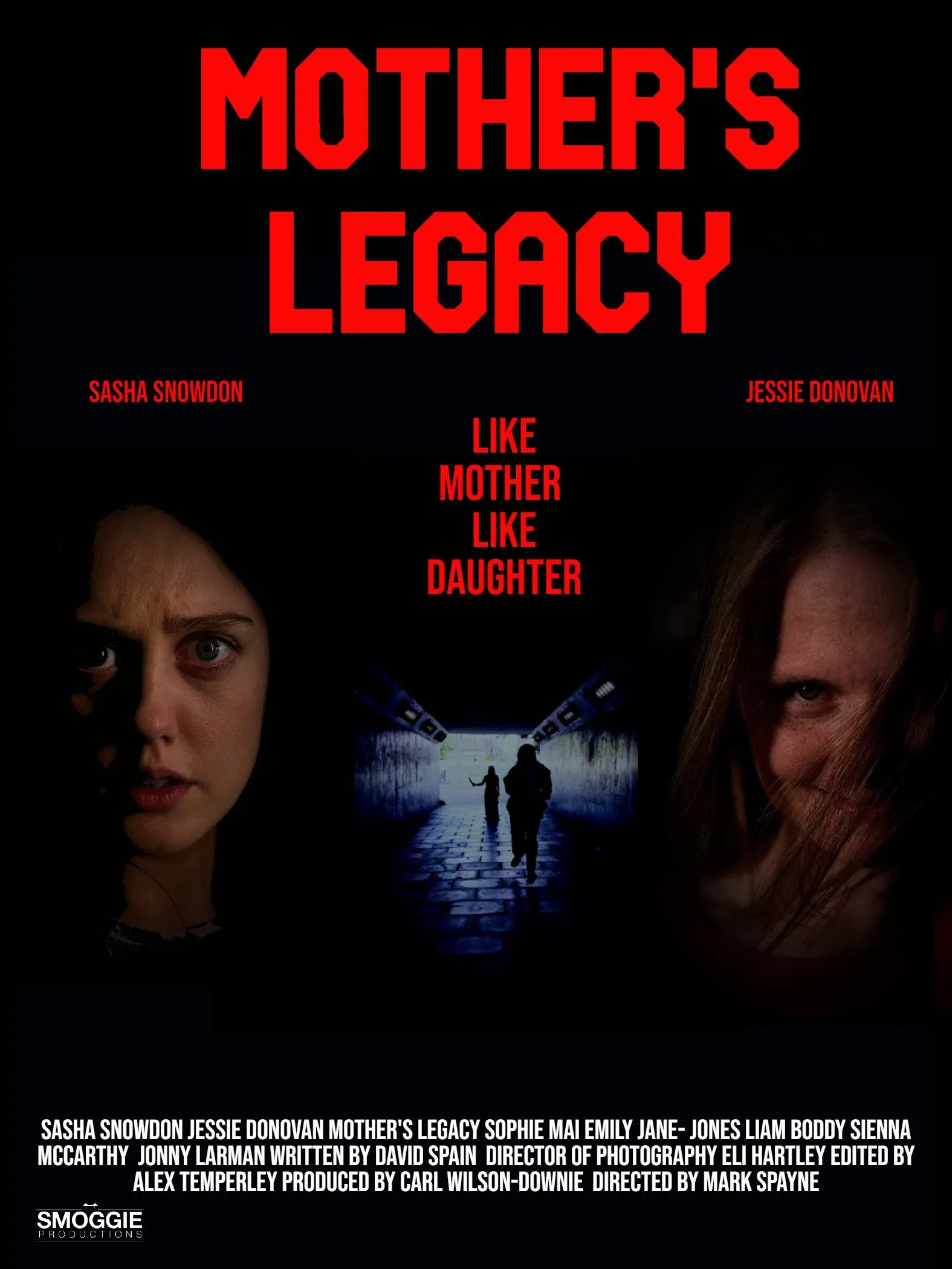 Poster for Mothers Legacy