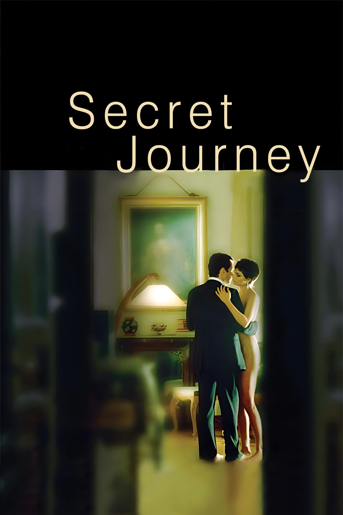 Poster of the movie Secret Journey