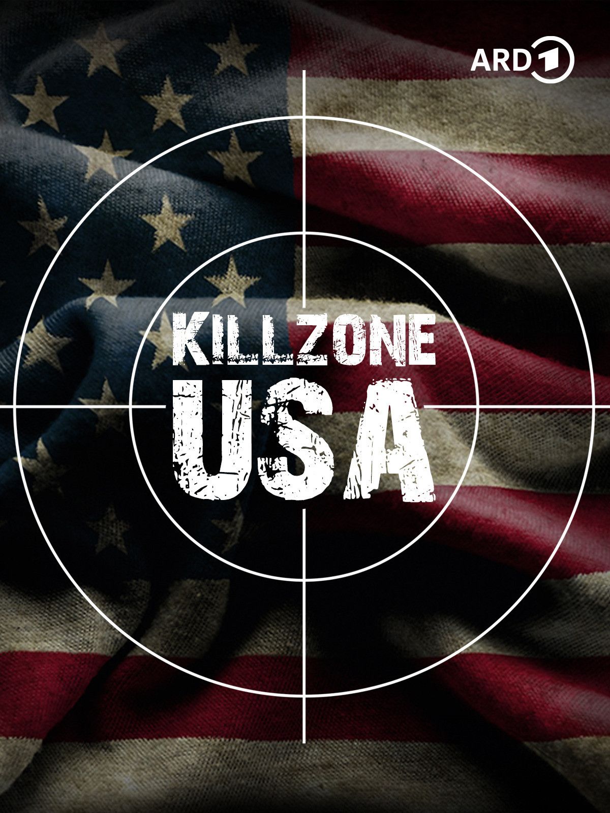 Poster of the movie Kill Zone USA