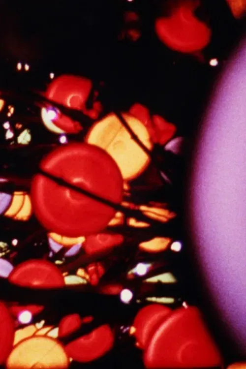 Poster of the movie Lights