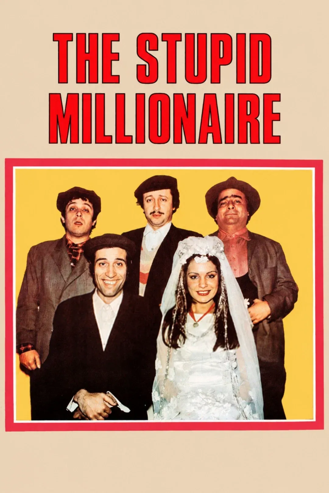 Poster of the movie The Stupid Millionaire