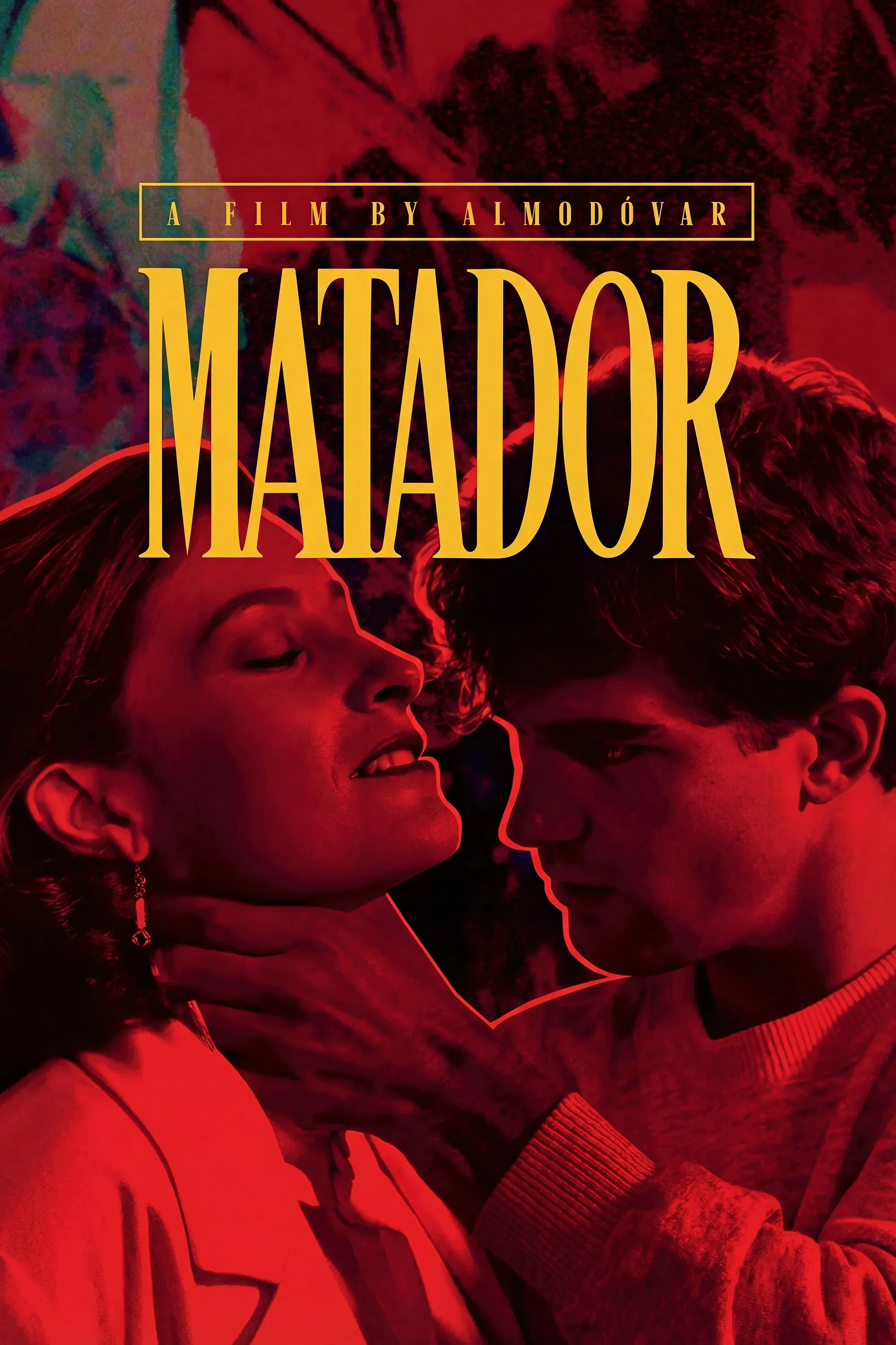 Poster of the movie Matador