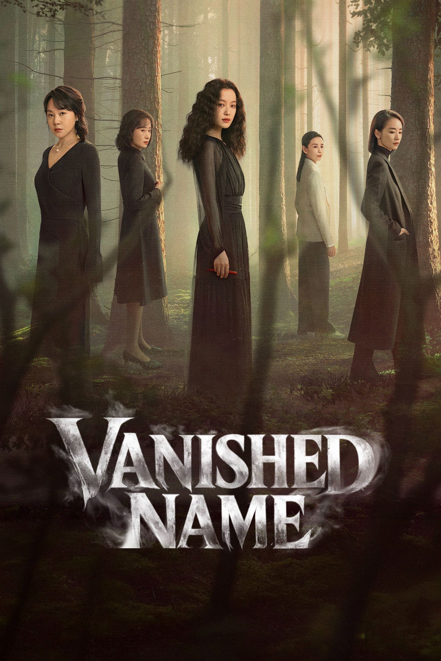 Poster of Vanished Name