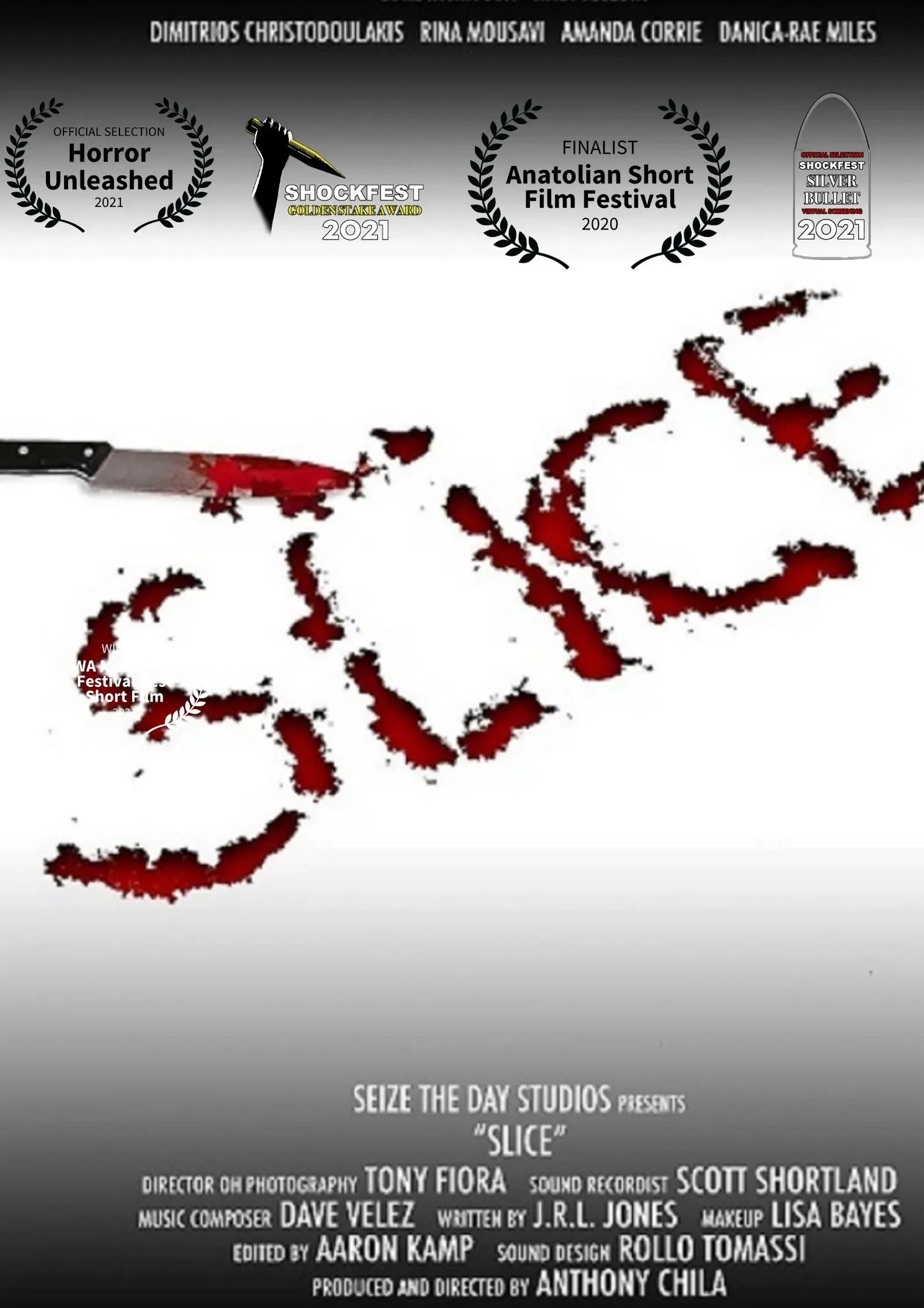 Poster of the movie Slice