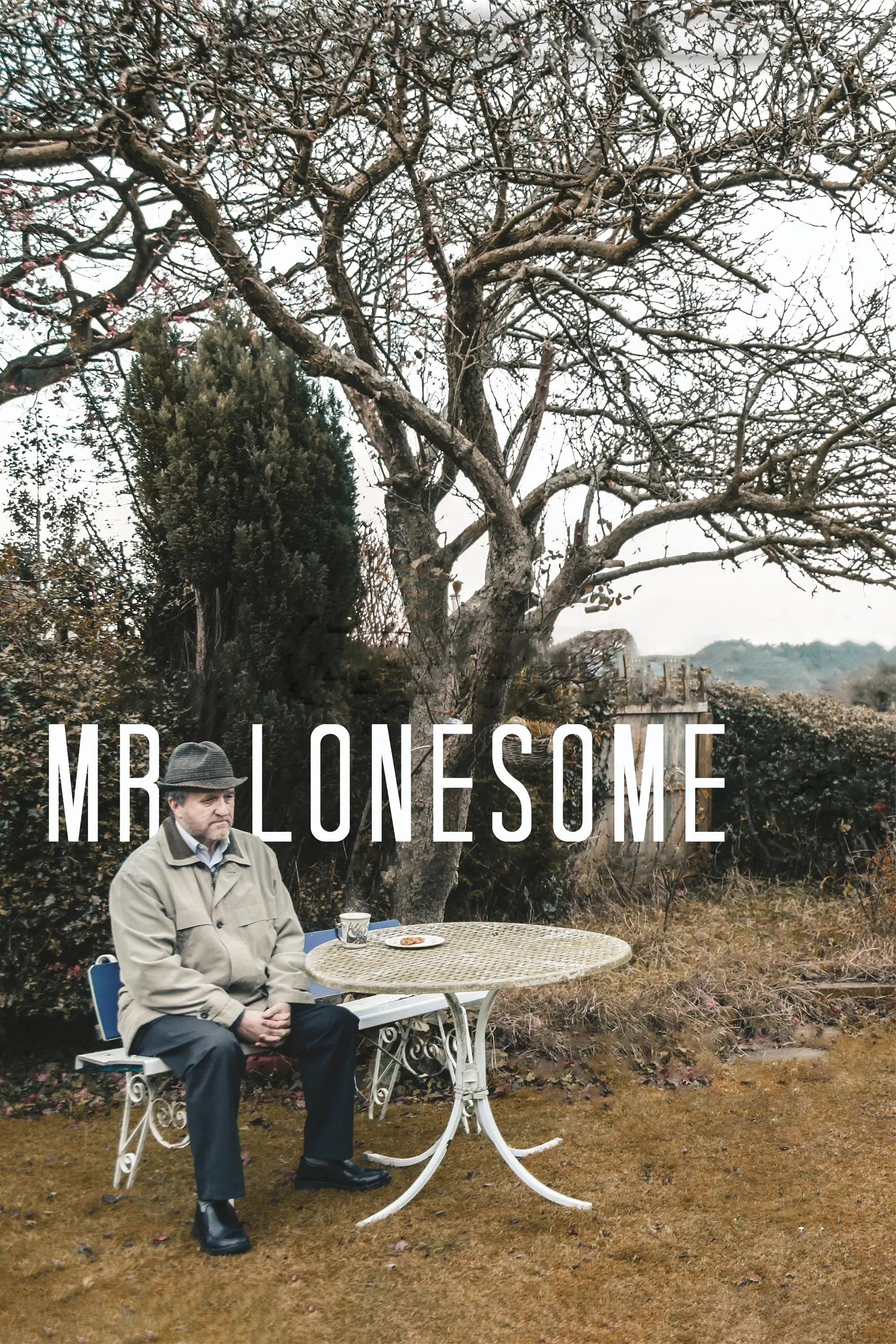 Poster of the movie Mr Lonesome