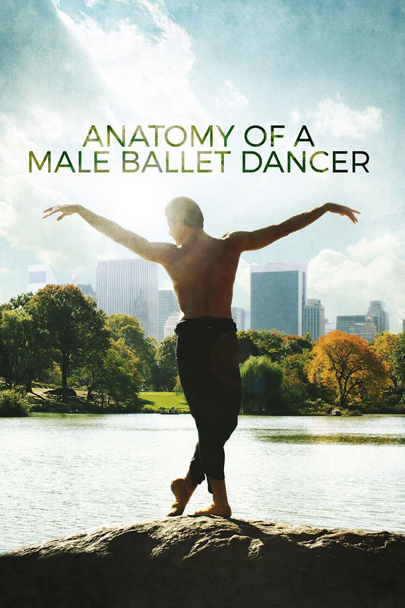 Poster of the movie Anatomy of a Male Ballet Dancer