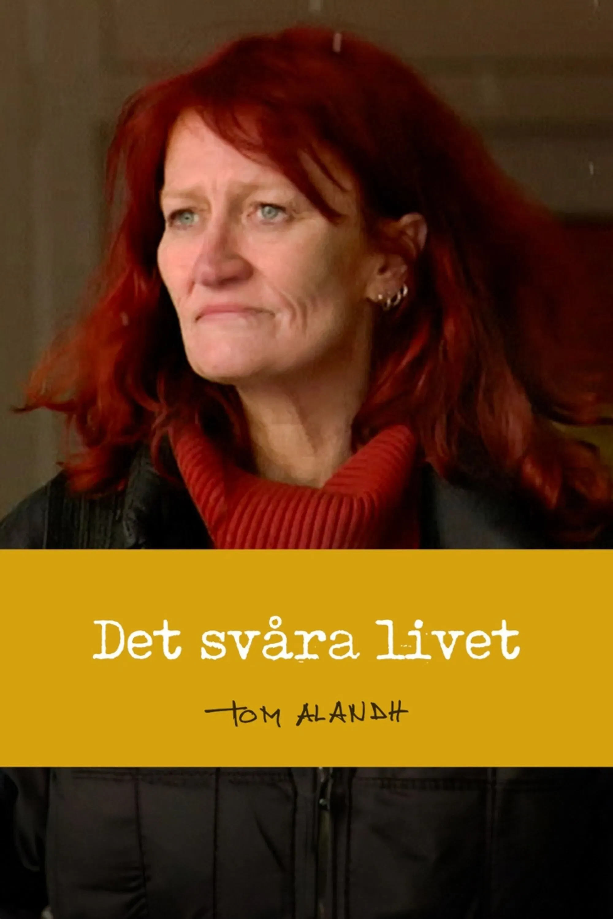 Poster of the movie Det svåra livet