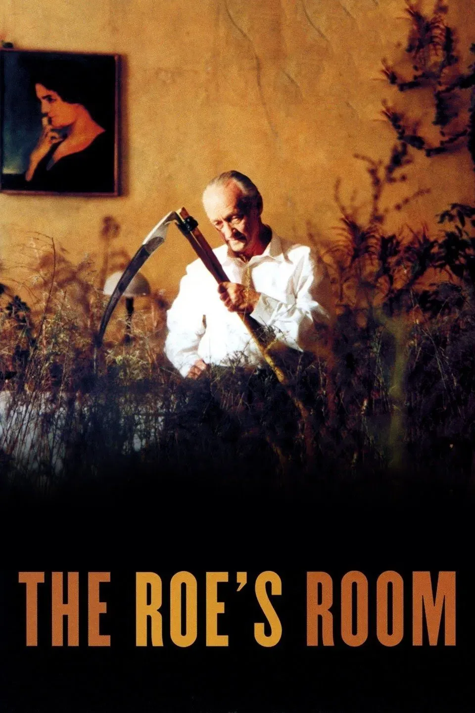 Poster of the movie The Roe's Room