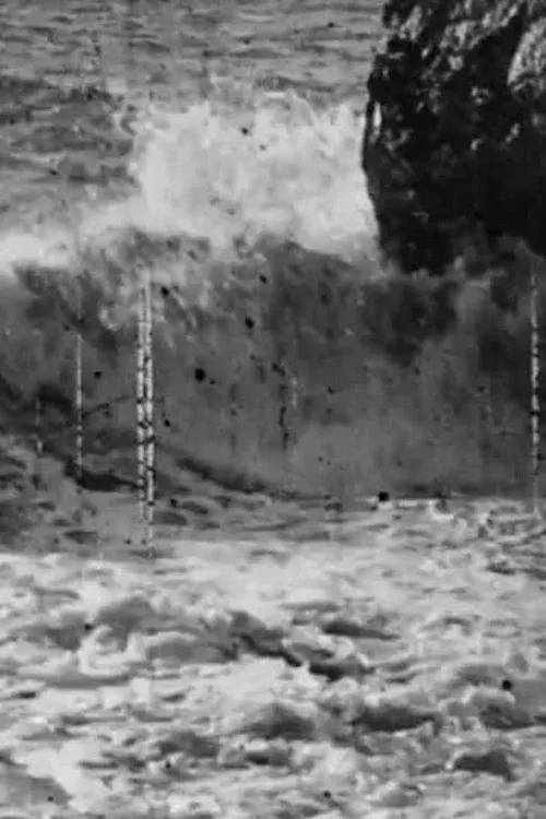 Poster for Waves Breaking