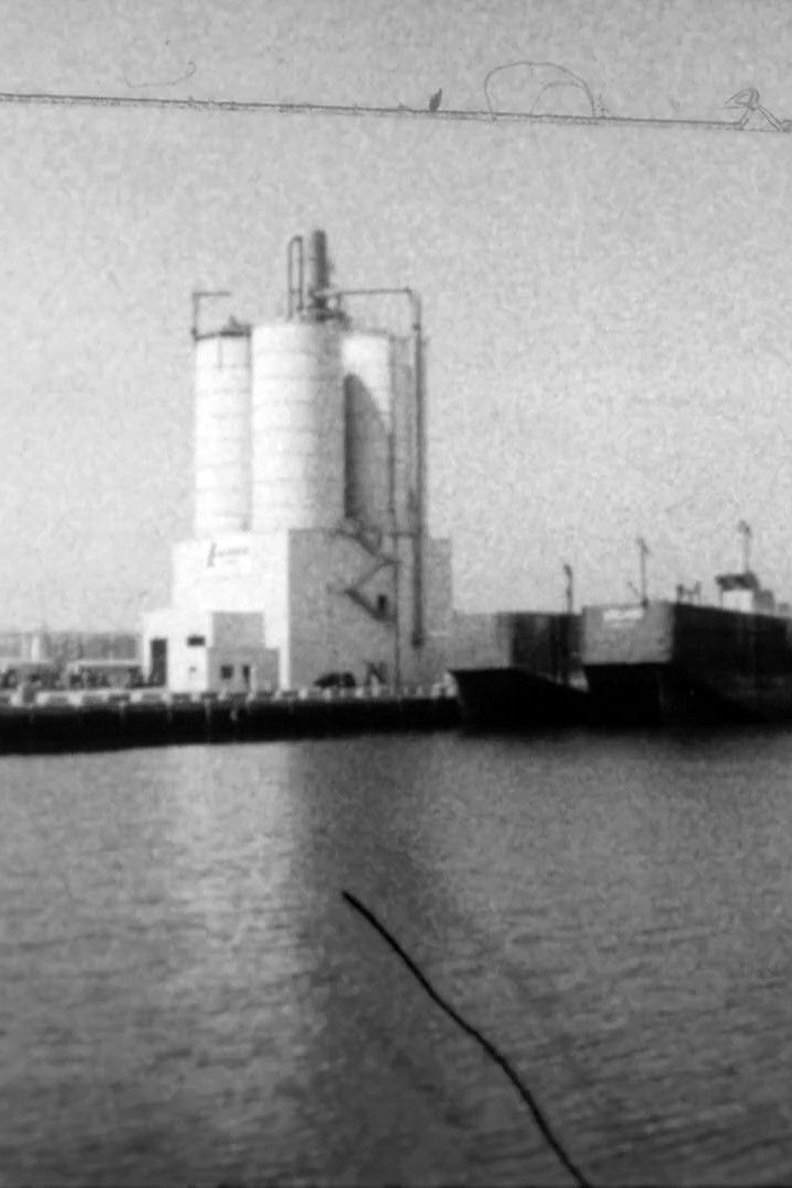 Poster of the movie Gowanus Haze