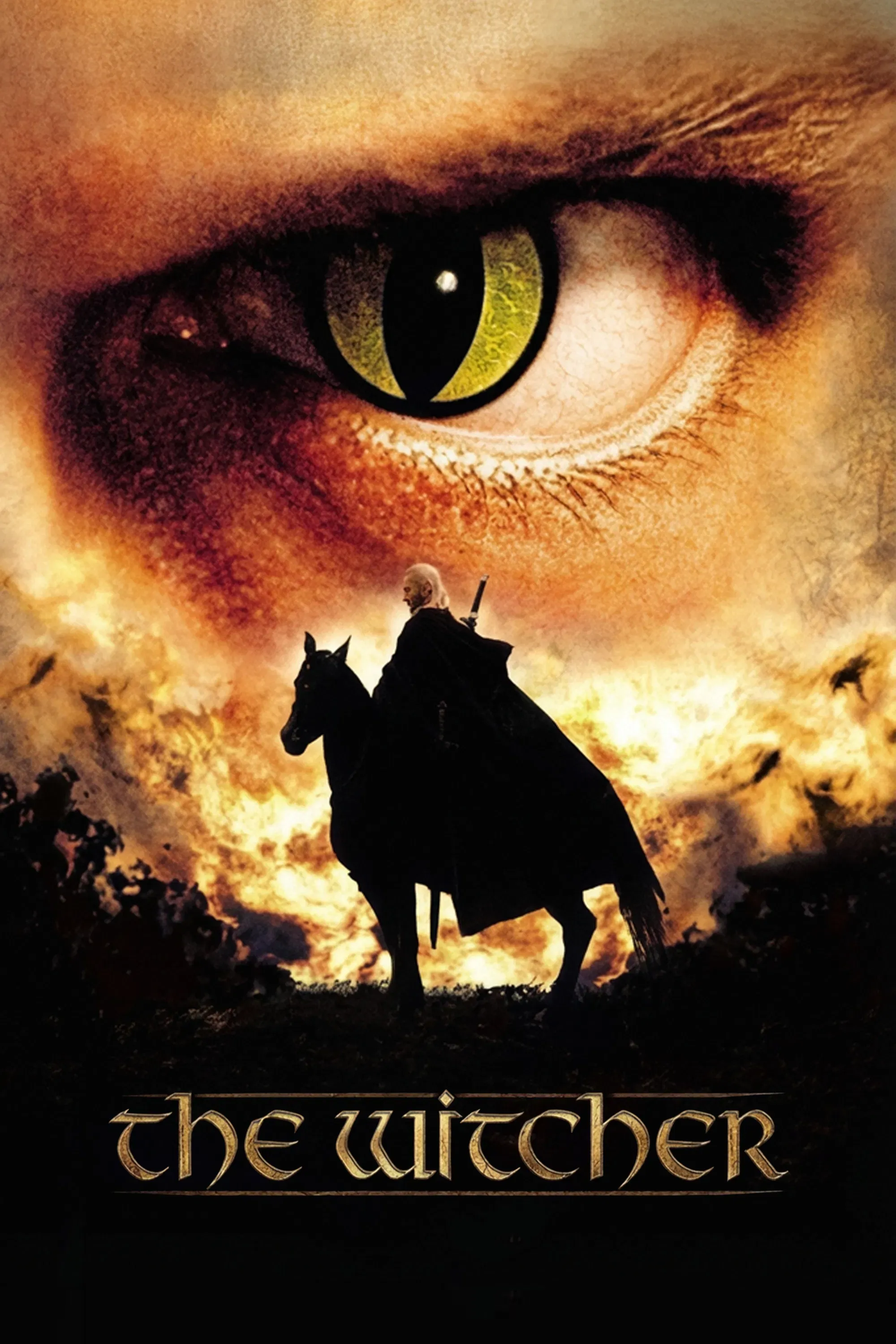 Poster of The Witcher