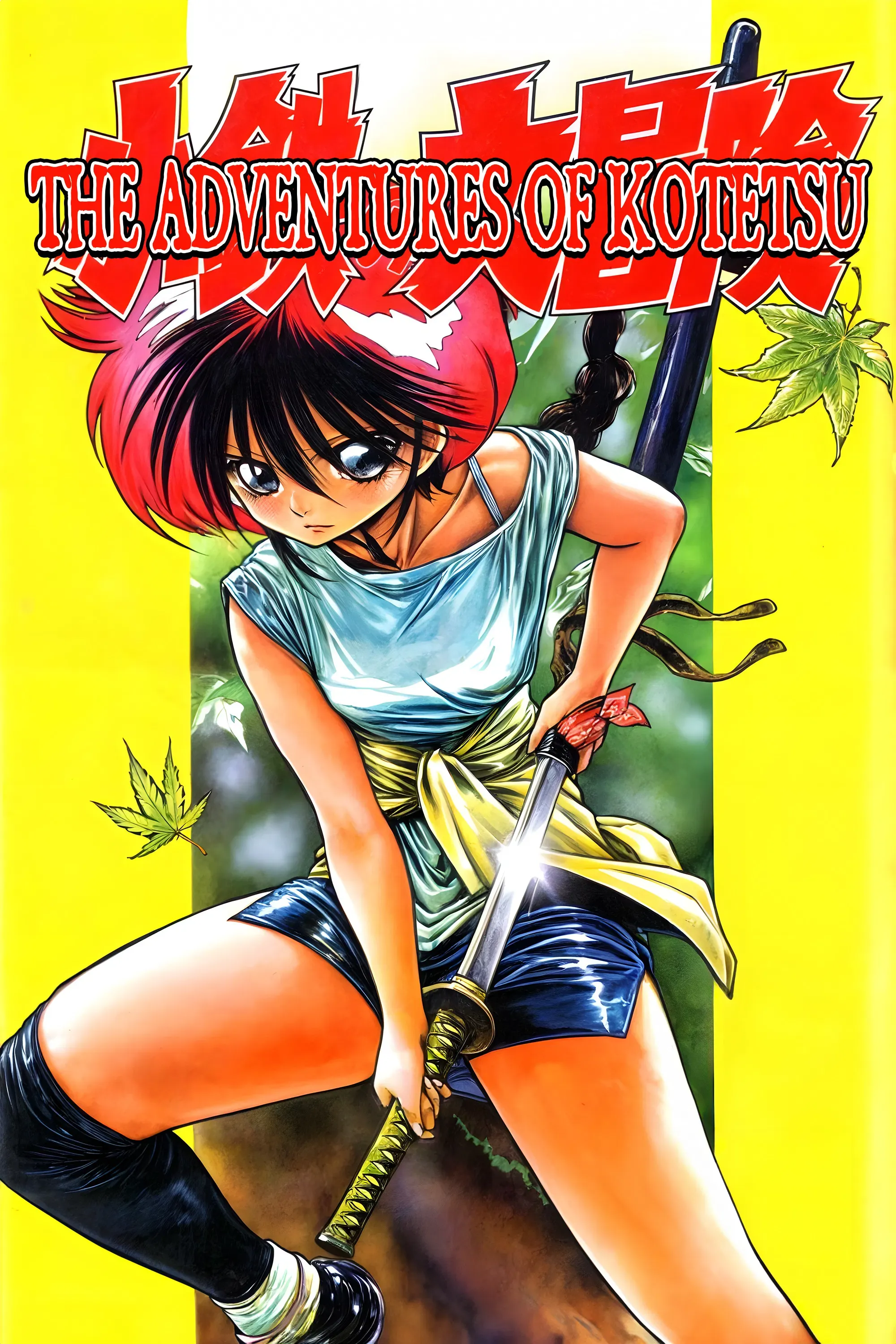 Poster of the movie The Adventures of Kotetsu