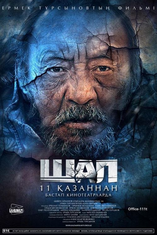 Poster of the movie The Old Man
