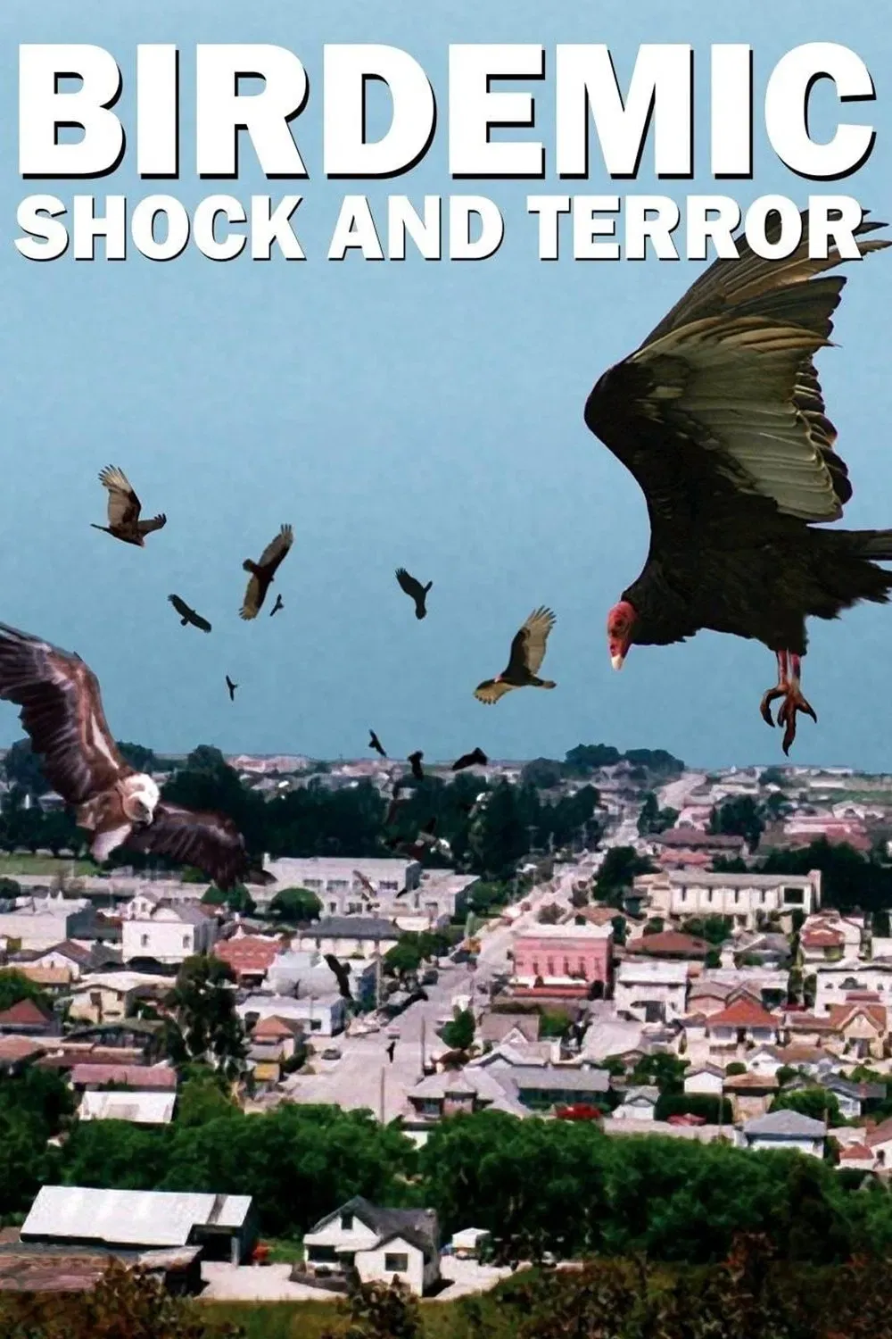 Poster of the movie Birdemic: Shock and Terror