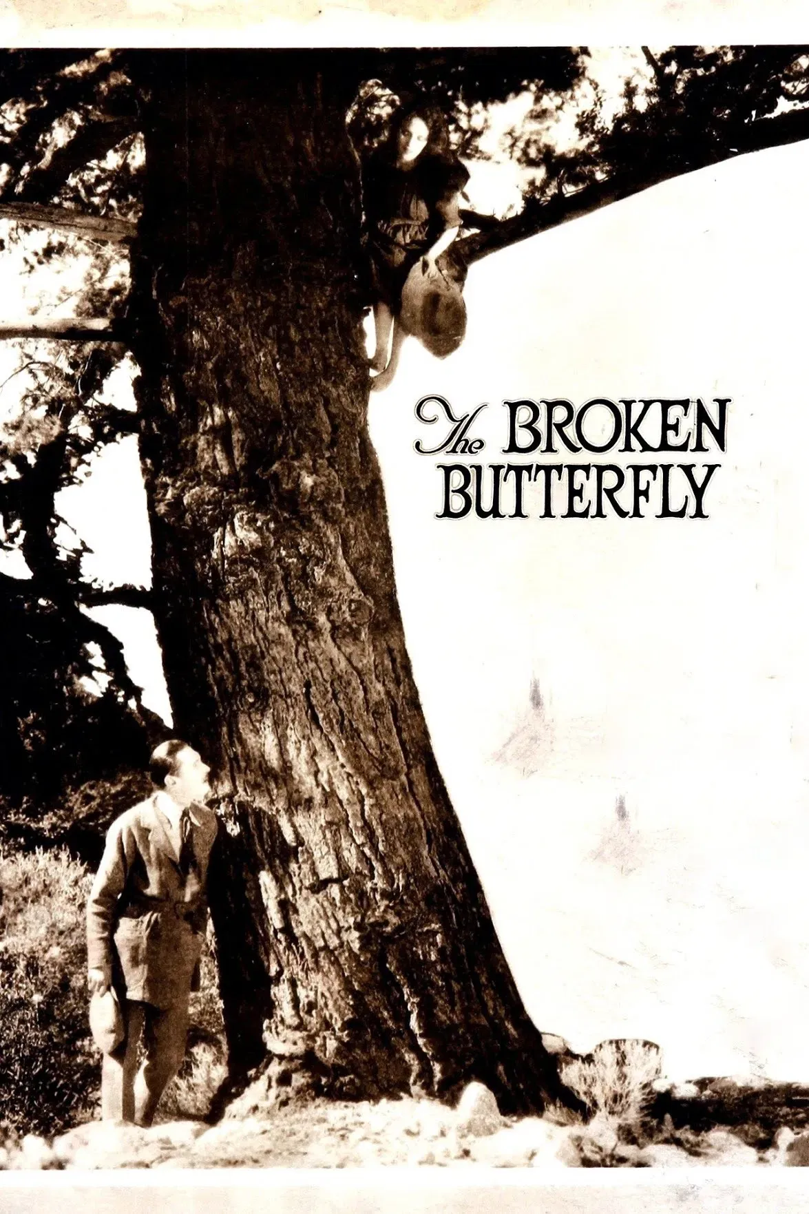 Poster of the movie The Broken Butterfly