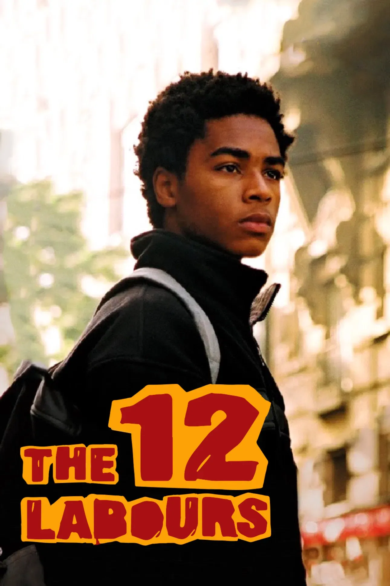 Poster of the movie The Twelve Labours