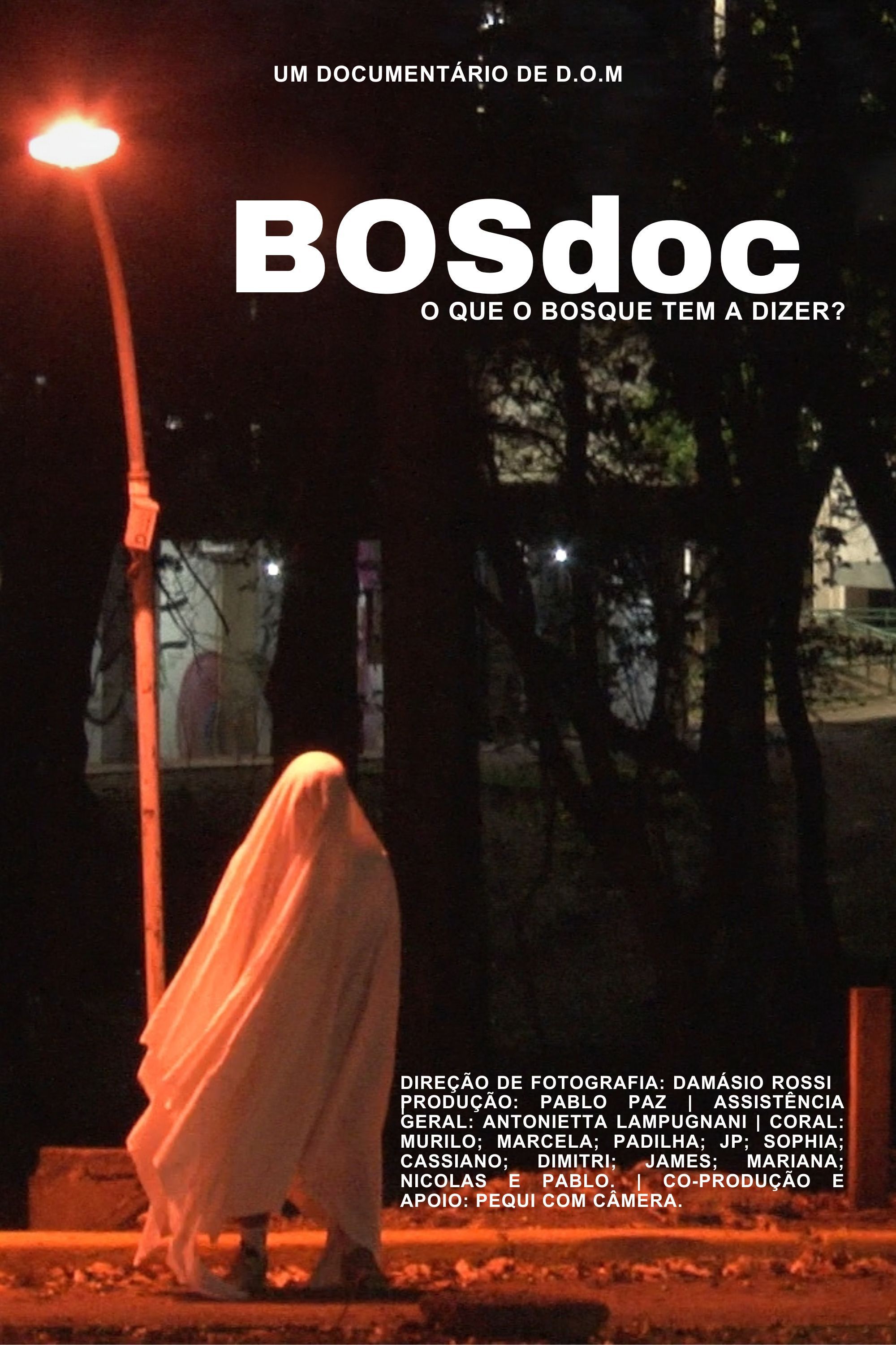 Poster for BOSdoc