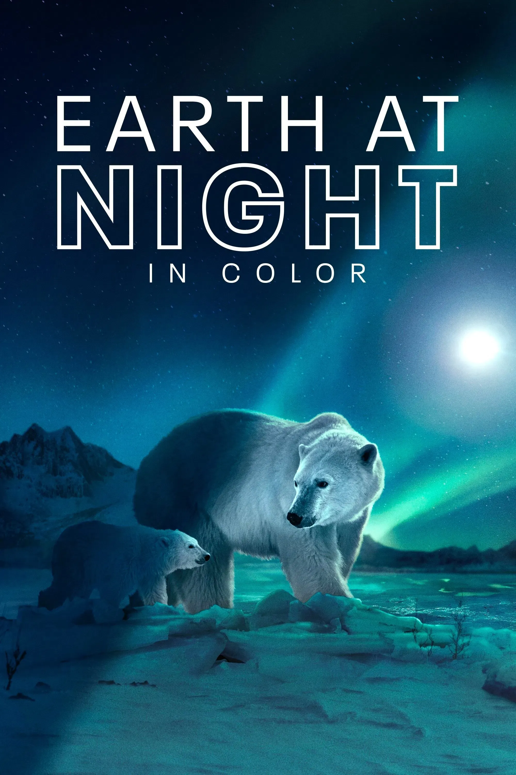 Poster of Earth at Night in Colour