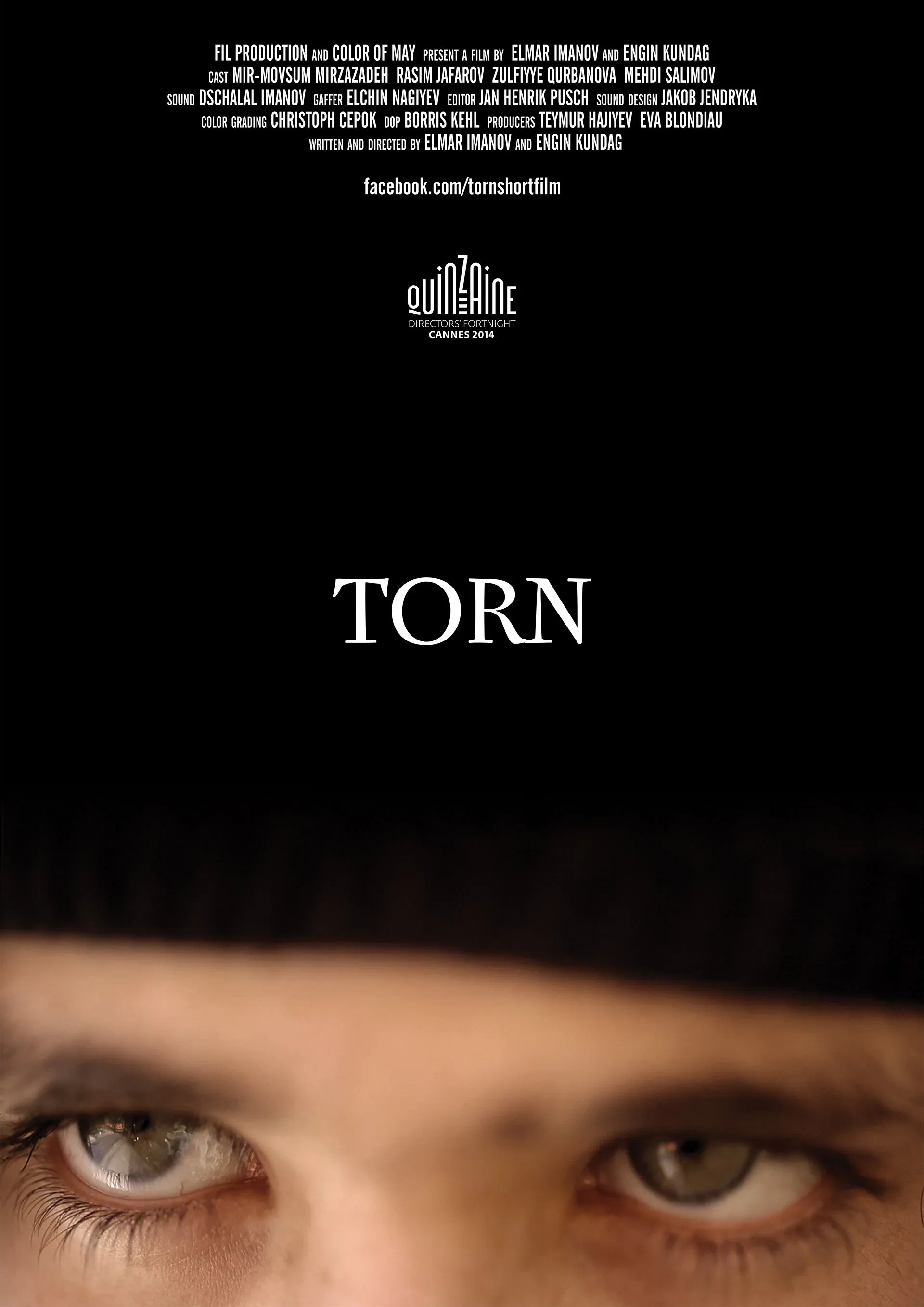 Poster for Torn