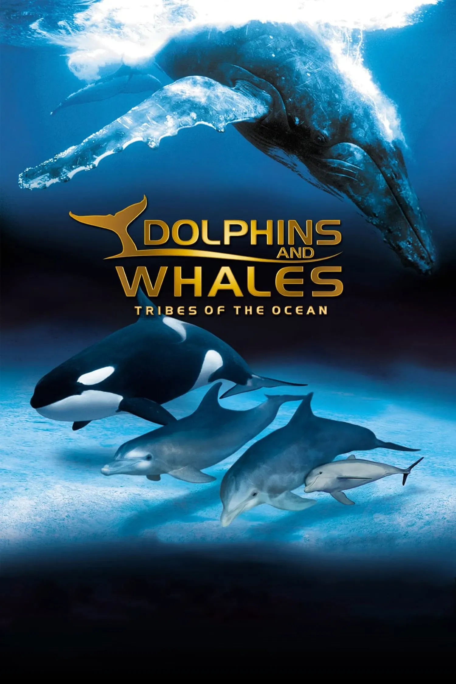 Poster of the movie IMAX Dolphins and Whales: Tribes of the Ocean