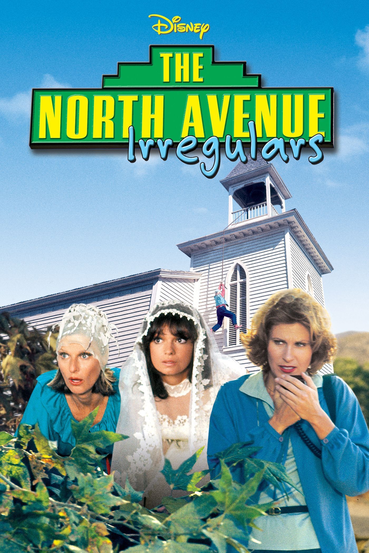 Poster of the movie The North Avenue Irregulars