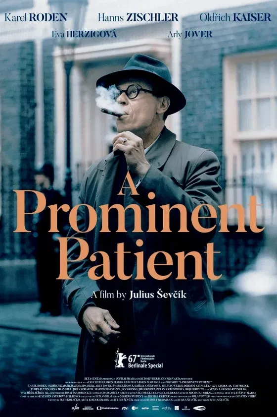 Poster of the movie A Prominent Patient