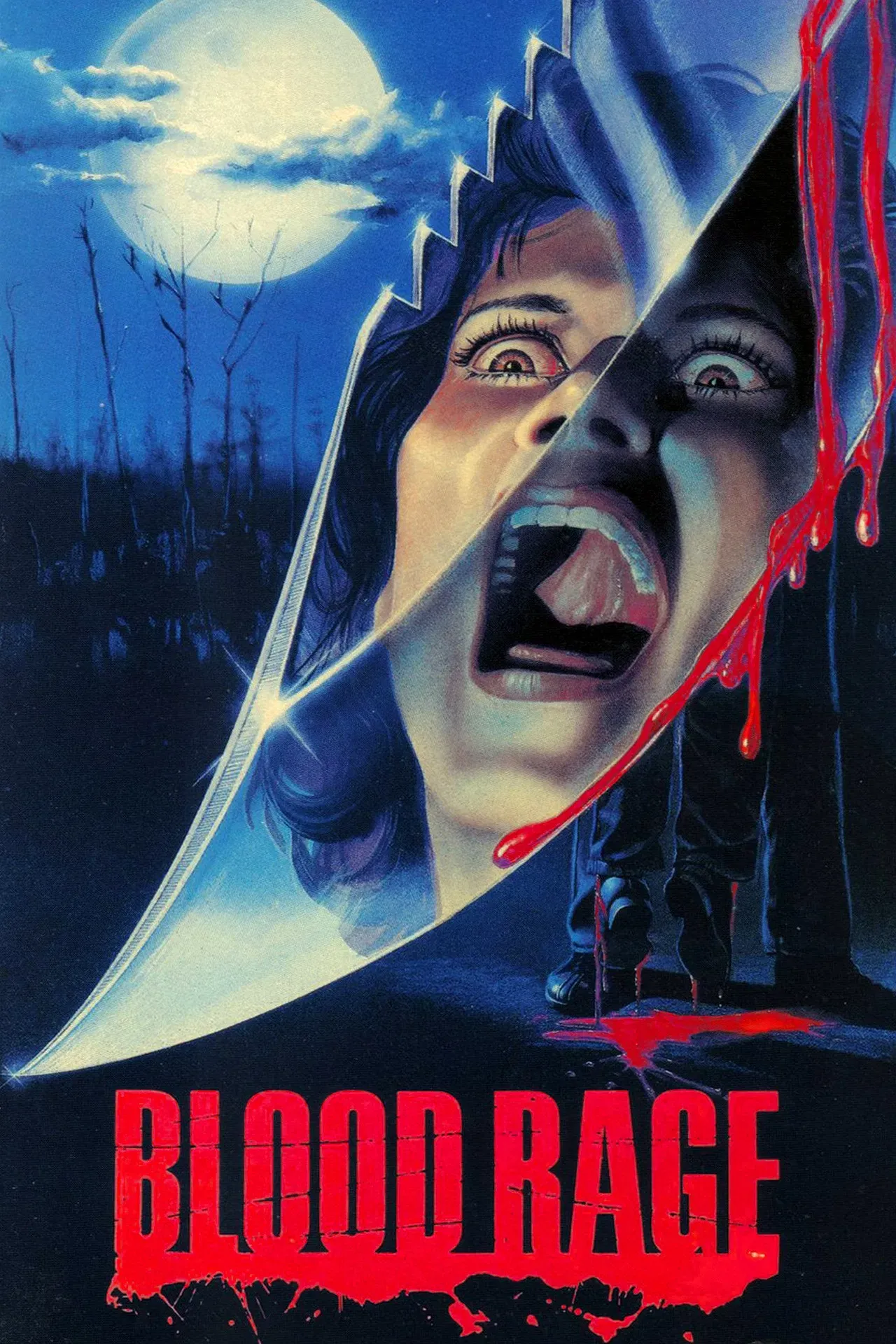 Poster of the movie Nightmare at Shadow Woods