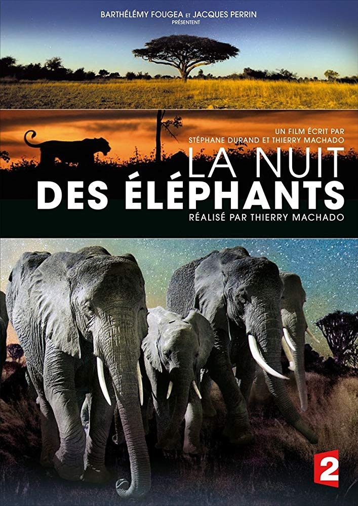Poster of the movie La Nuit des éléphants