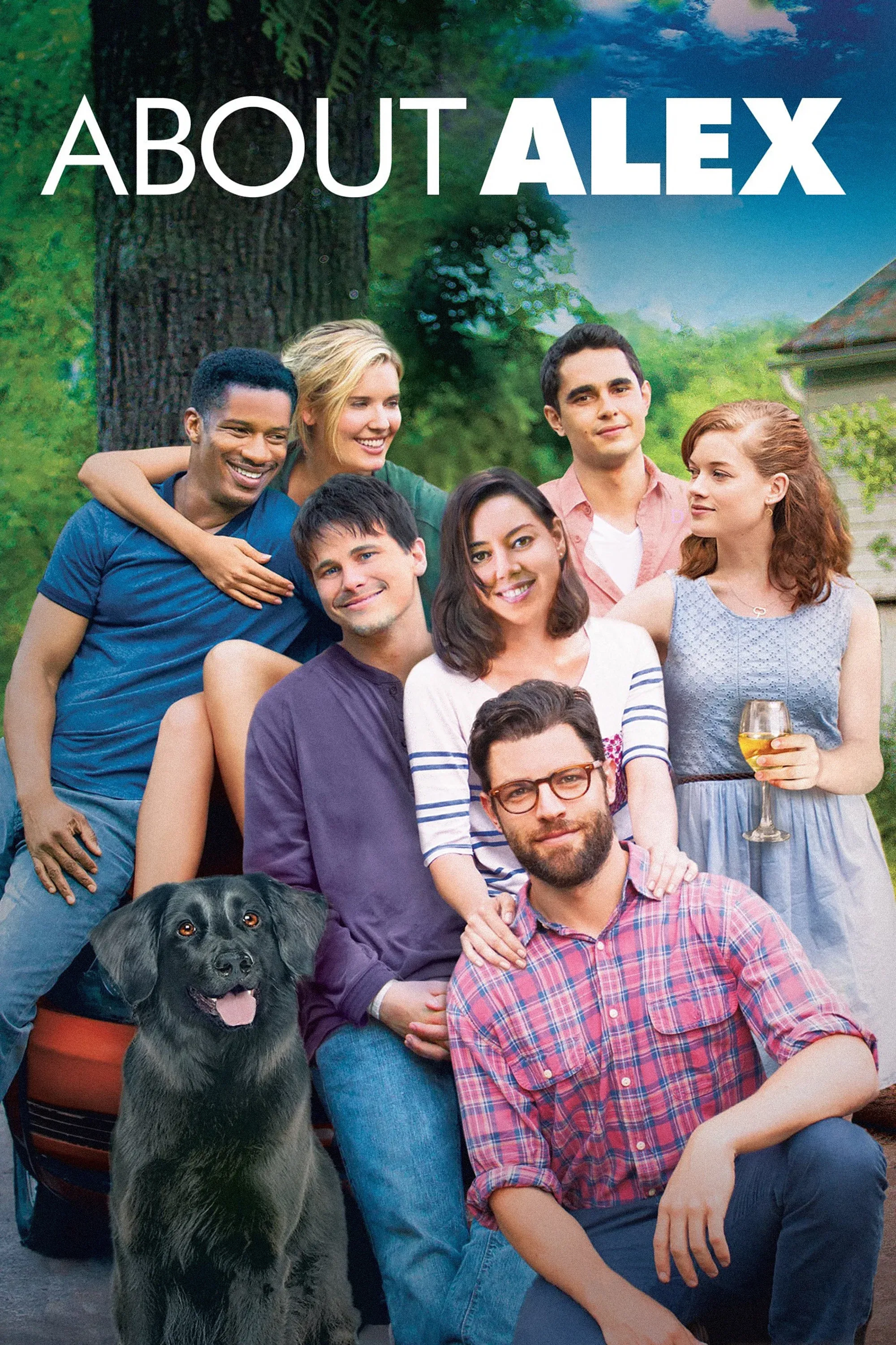 Poster of the movie About Alex