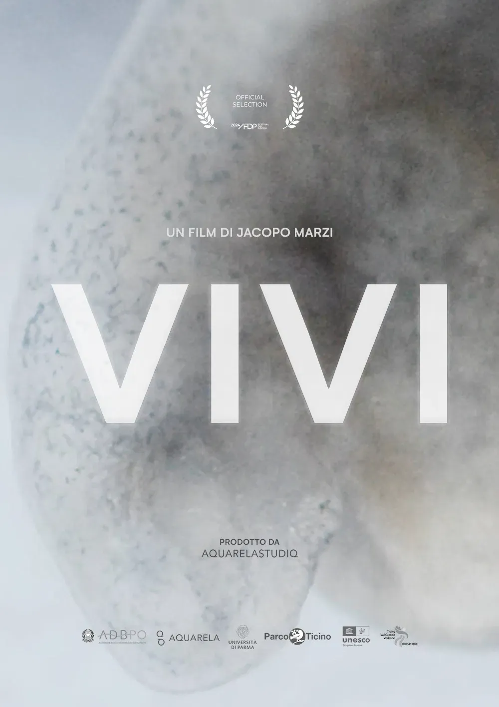 Poster for VIVI
