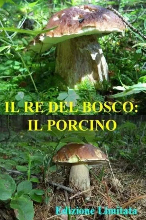 Poster of the movie Il re del bosco: il porcino