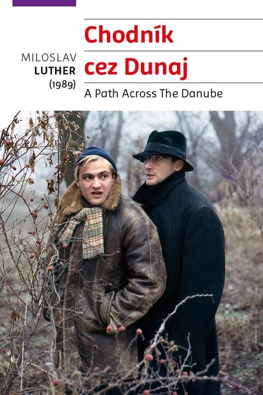 Poster of the movie A Path Across the Danube