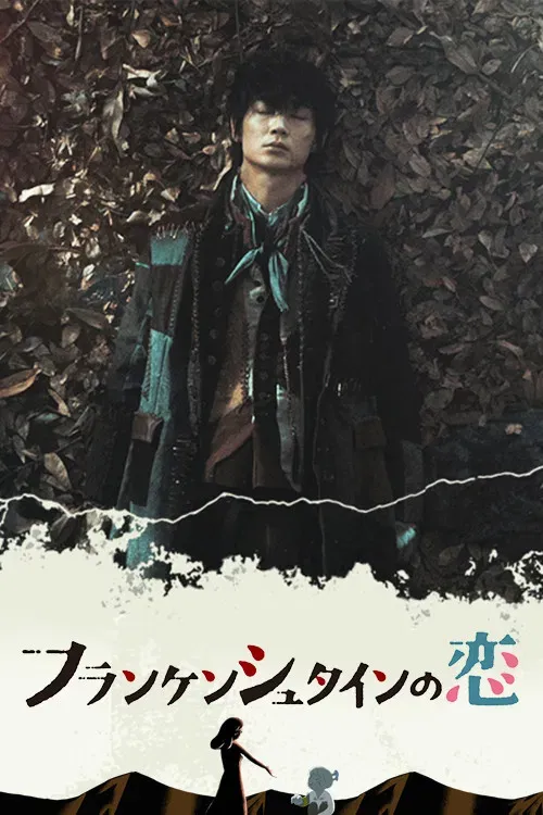 Poster of Frankenstein's Love