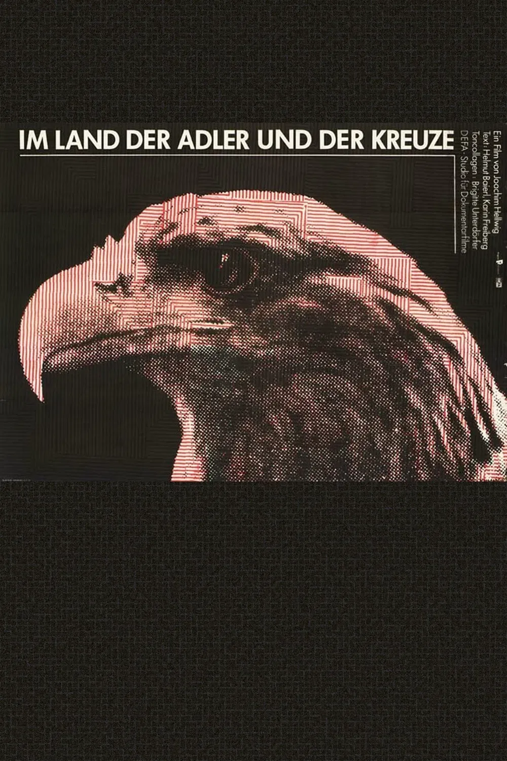 Poster of the movie In the Land of Eagles and Crosses