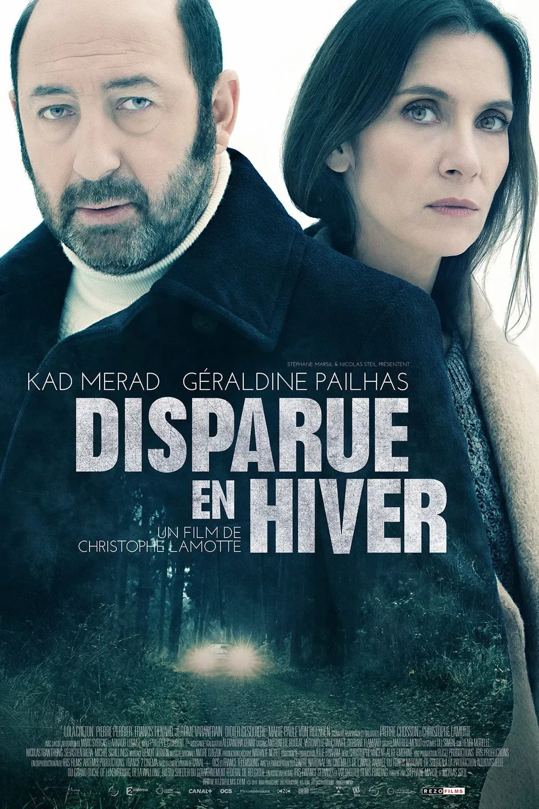 Poster of the movie Disappeared in Winter