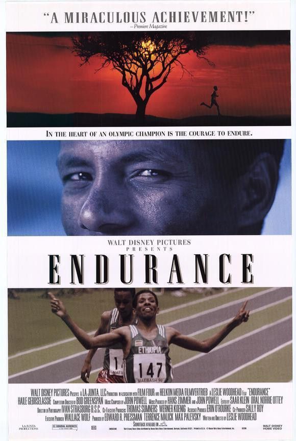 Poster of the movie Endurance