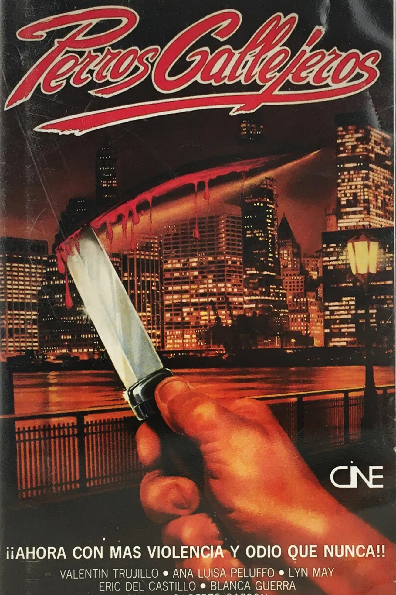 Poster of the movie Perro callejero