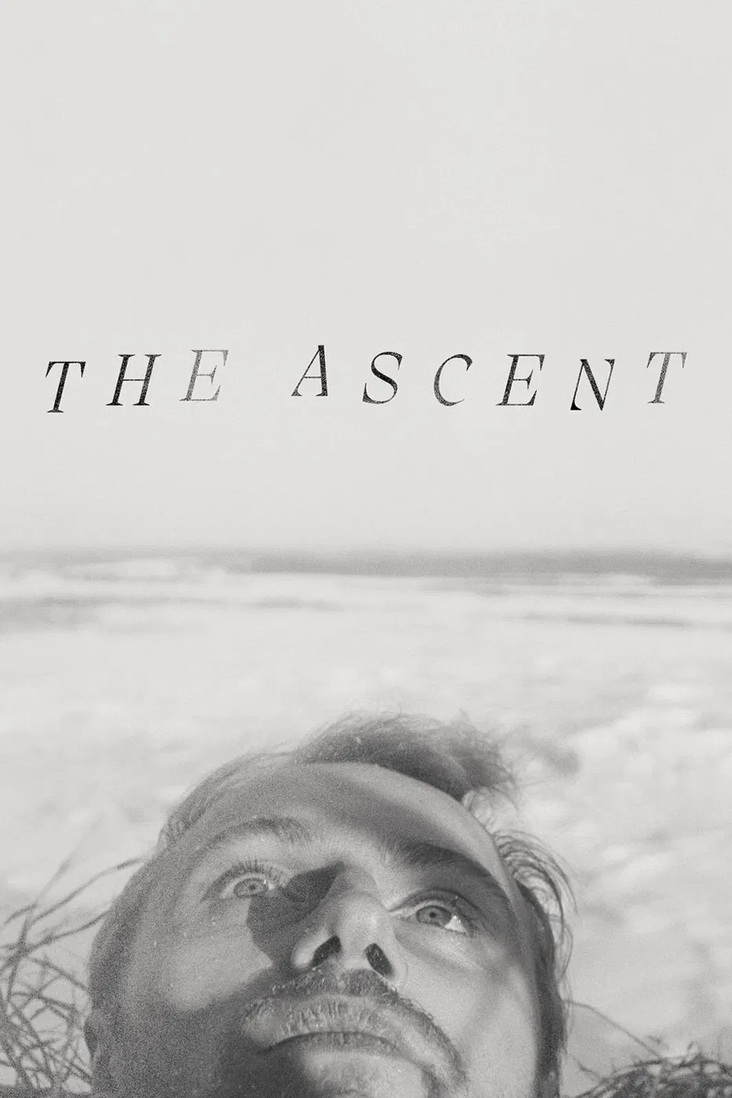 Poster of the movie The Ascent