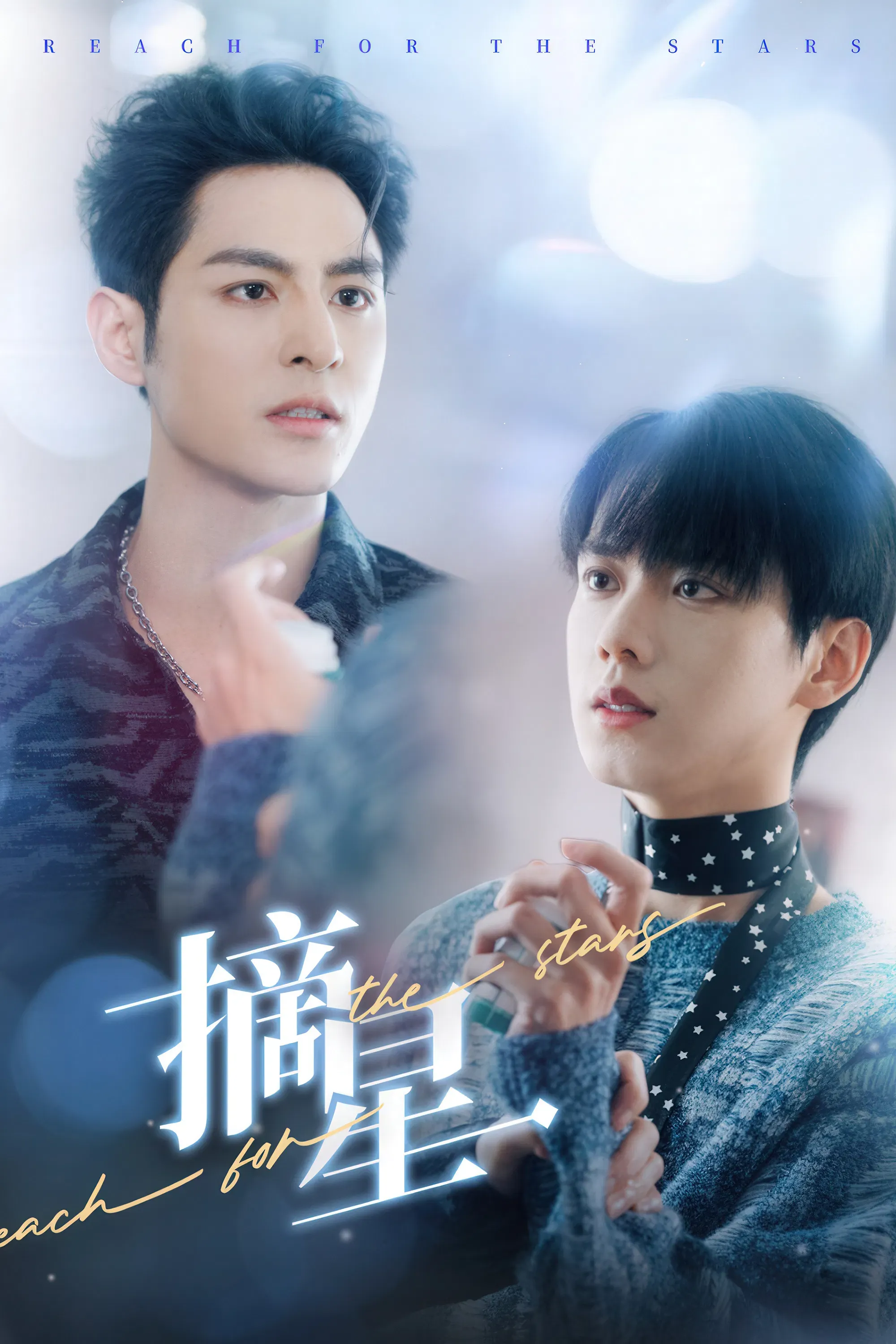 Poster of Reach for the Stars